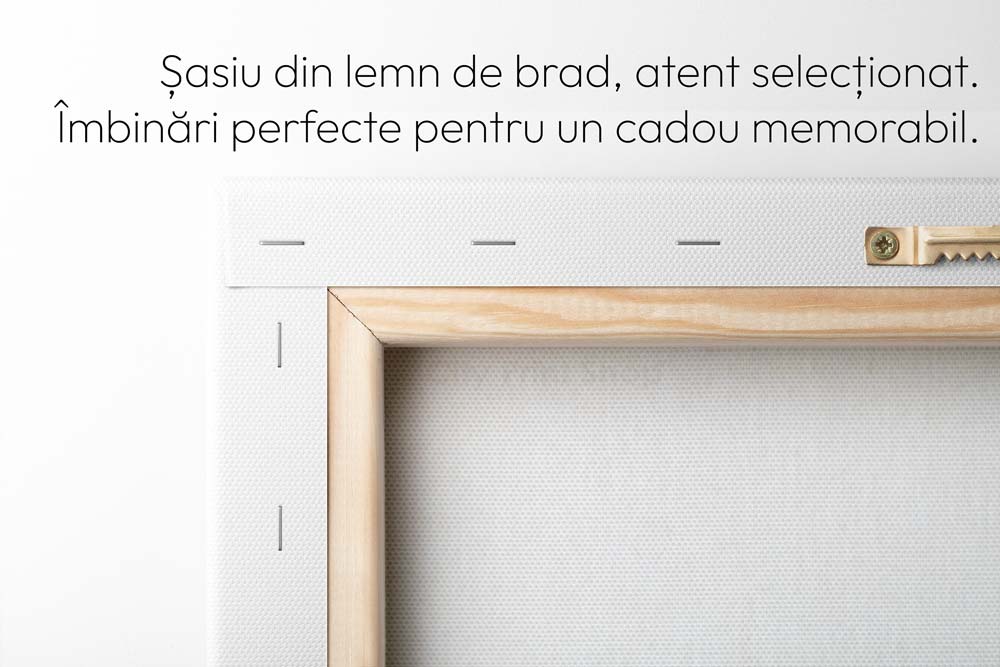 Tablou Canvas Personalizat cu 15 poze 3