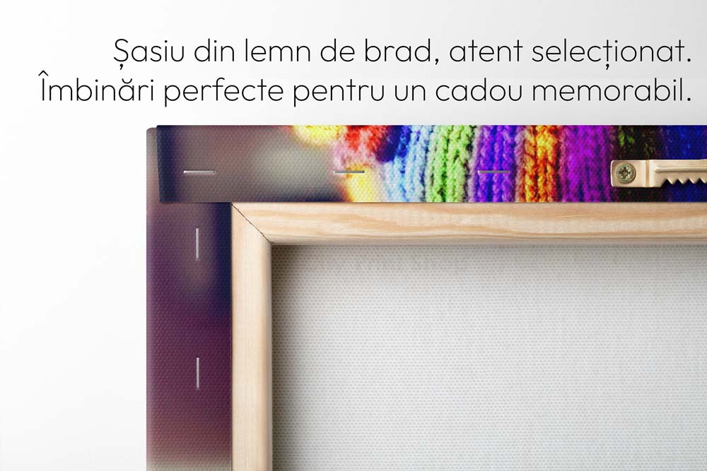 Tablou Canvas Personalizat 40×40 cm