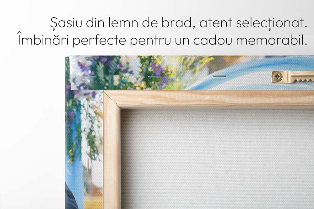 Tablou-Canvas-Personalizat-40×50-cm2