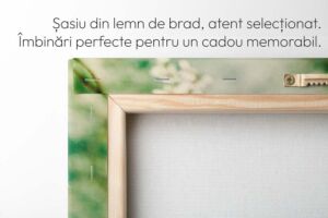 Tablou-Canvas-Personalizat-50×70-cm-2