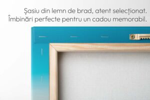 Tablou-Canvas-Personalizat-60×90-cm2