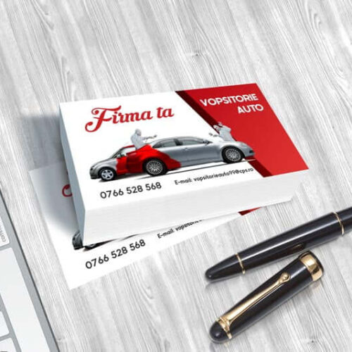 Carti-de-vizita-vopsitorie-auto