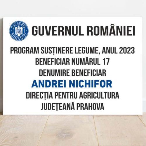 Panou Program Susținere Legume