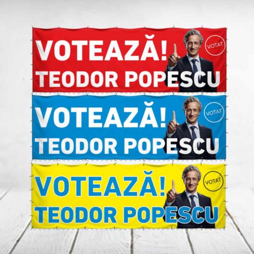 Bannere Electorale