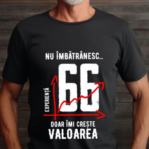 Tricou Nu îmbătrânesc doar îmi crește valoarea 66 ani