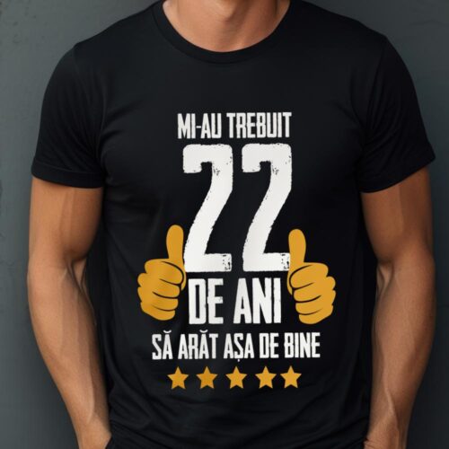 Tricou Mi-au trebuit 22 de ani sa arat asa de bine Model5