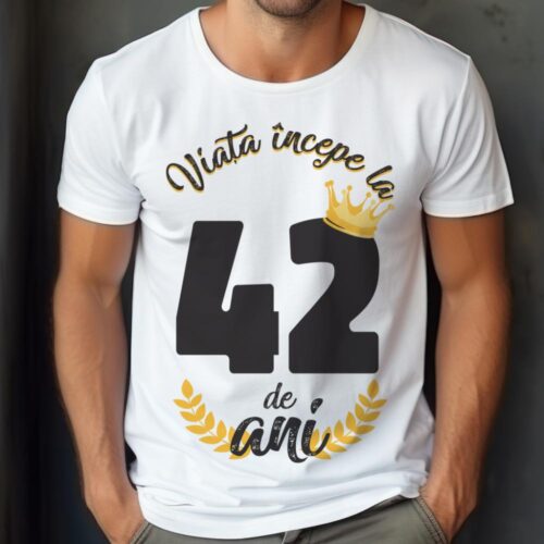 tricou viata incepe la 42 de ani model 2