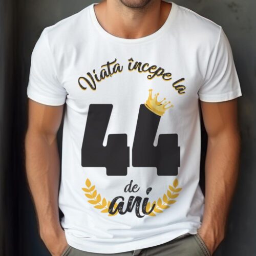 tricou viata incepe la 44 de ani model 2
