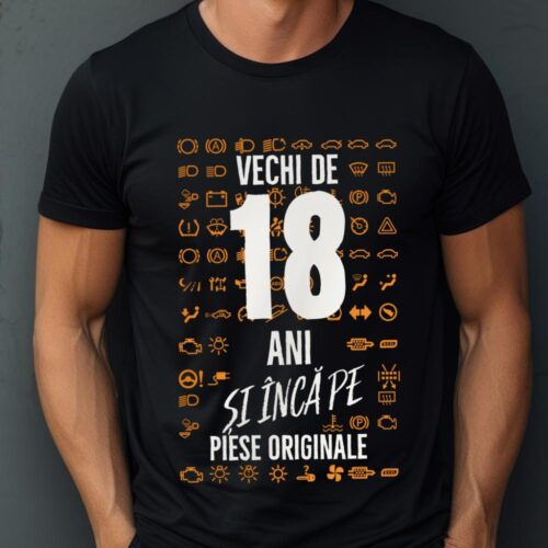 Tricou Vechi de 18 ani și încă pe piese originale_tricou1