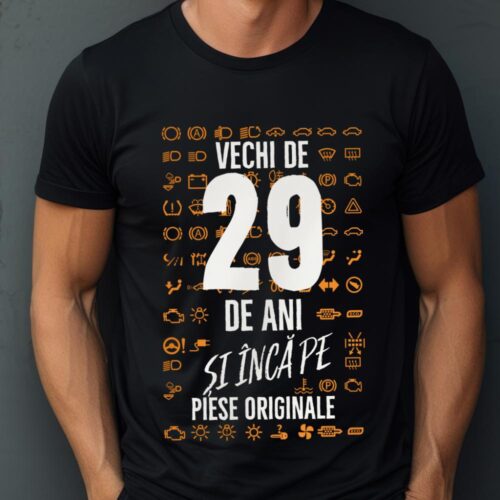 Tricou Vechi de 29 de ani și încă pe piese originale_tricou1