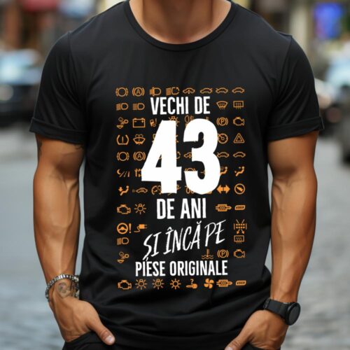 Tricou Vechi de 43 de ani și încă pe piese originale_tricou11