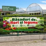 Banner Răsaduri de flori și legume