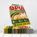 Flyere Ferma de Pui