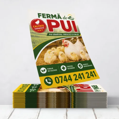 Flyere Ferma de Pui