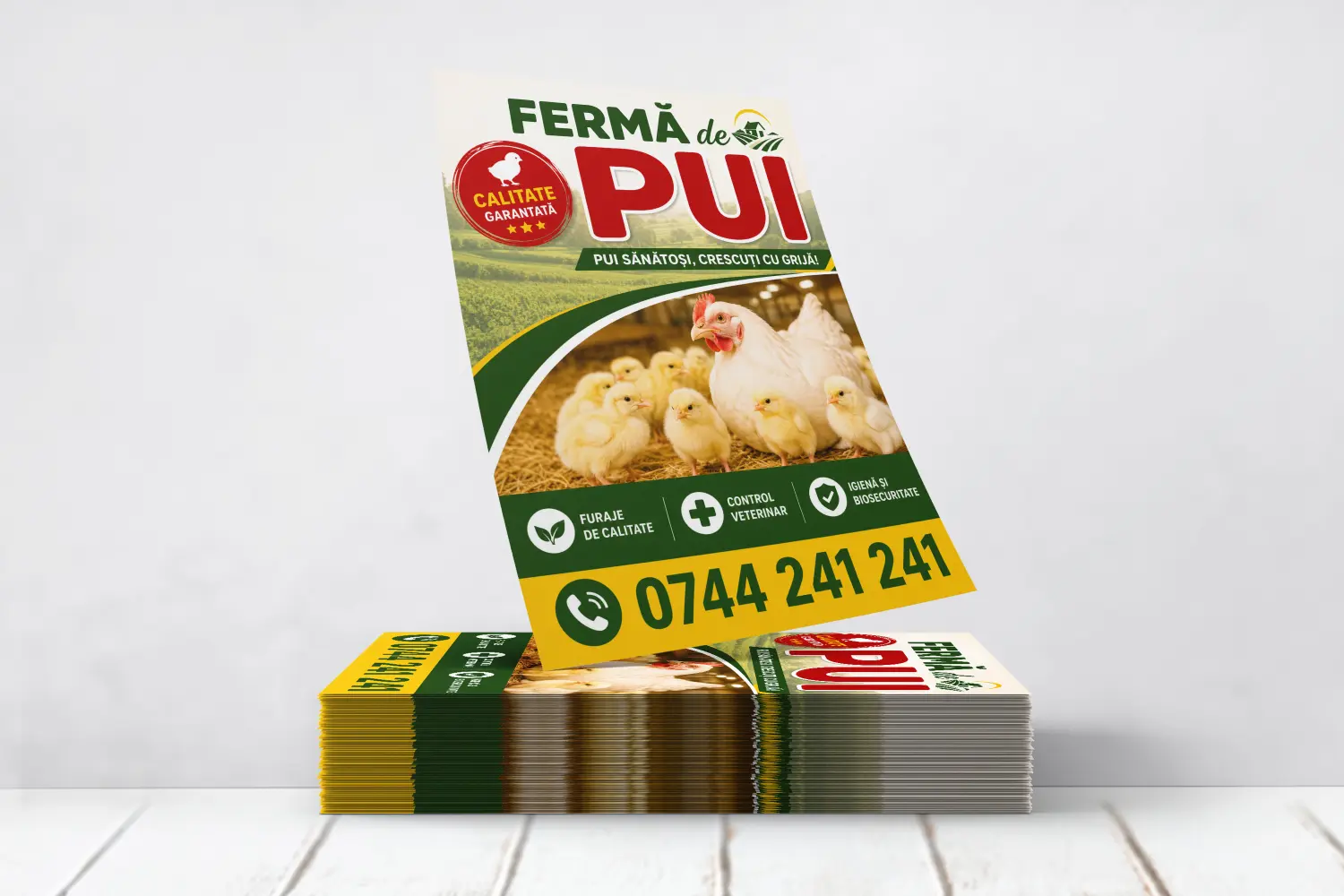 Flyere Ferma de Pui