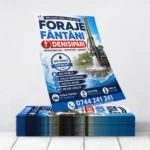 Flyere Foraje Fantani Denisipari