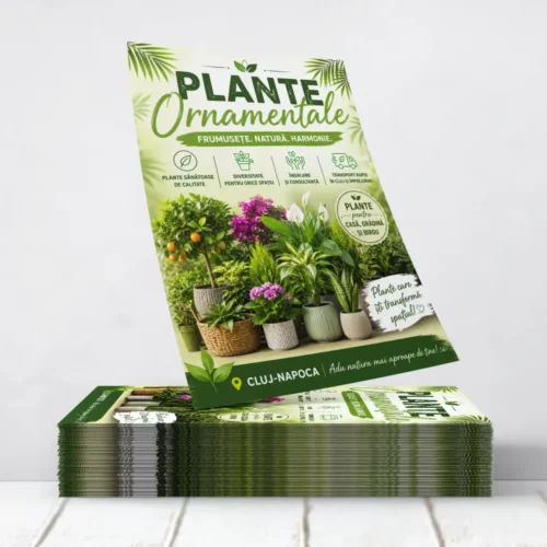 Flyere Plante Ornamentale