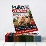Flyere Porci de Vanzare