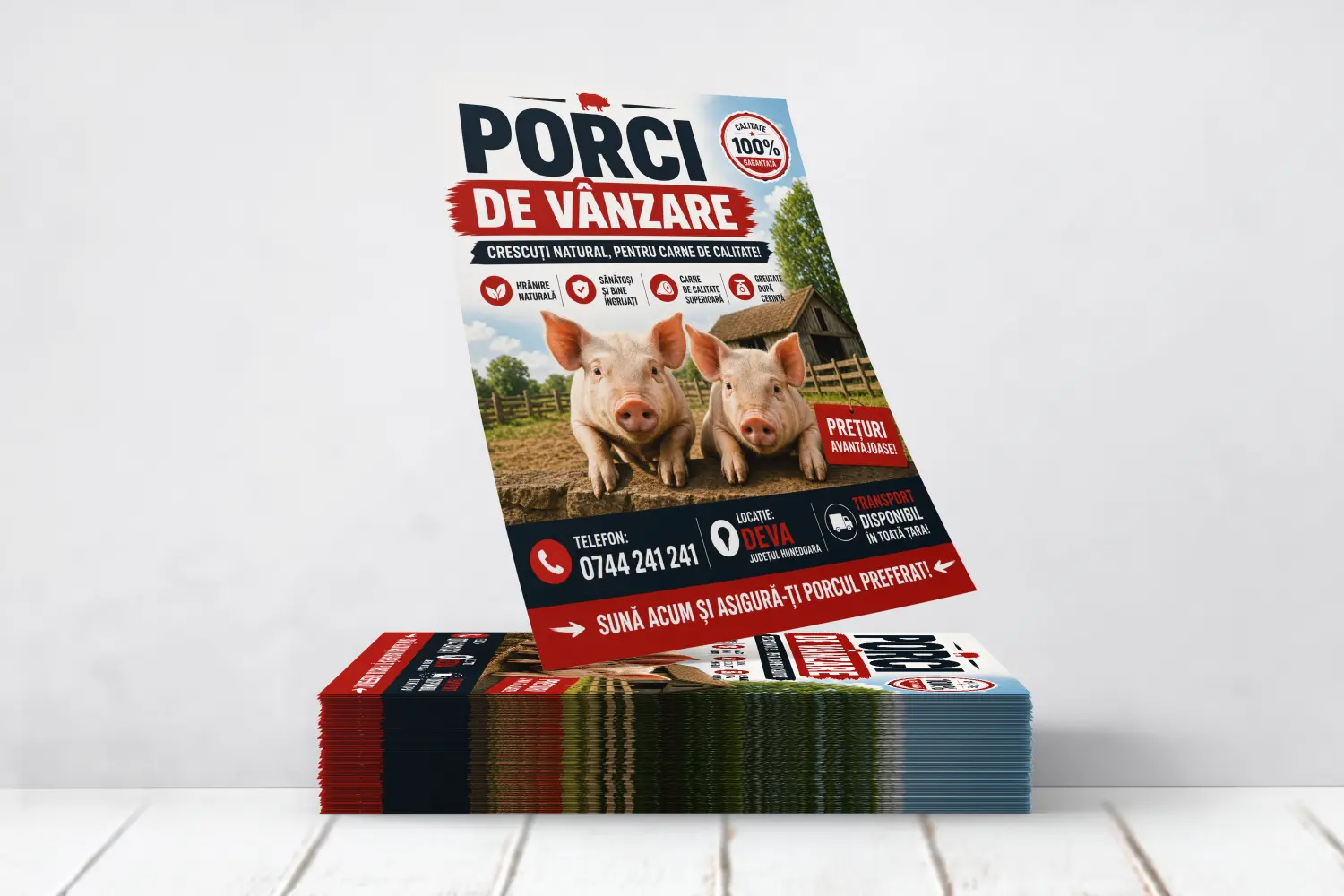 Flyere Porci de Vanzare