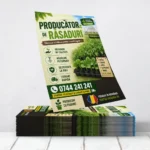 Flyere Producator de Rasaduri