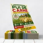 Flyere Pui de Carne