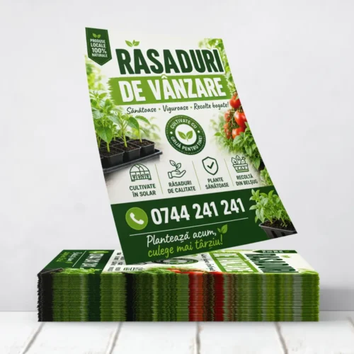 Flyere Rasaduri de Vanzare