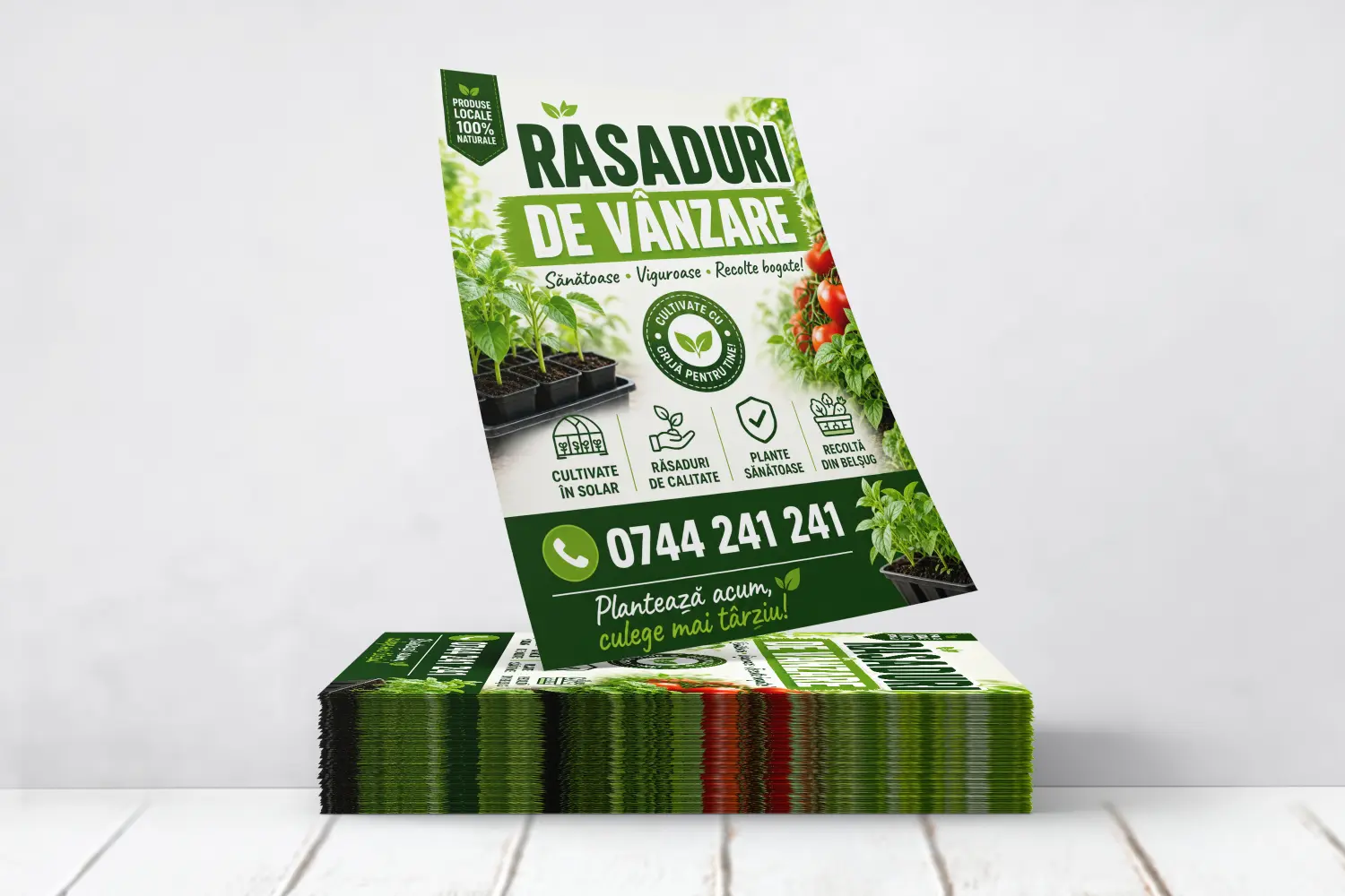 Flyere Rasaduri de Vanzare