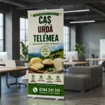 Roll Up - Caș Urdă Telemea