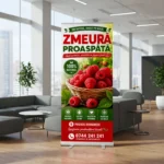 Roll Up - Zmeură Proaspătă
