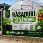 Banner Răsaduri de vânzare