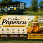 Banner Stupina Popescu