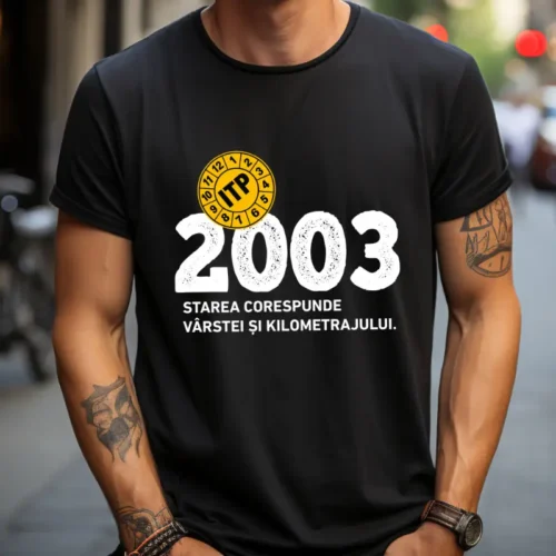 Tricou Personalizat ITP 2003 Starea corespunde vârstei și kilometrajului