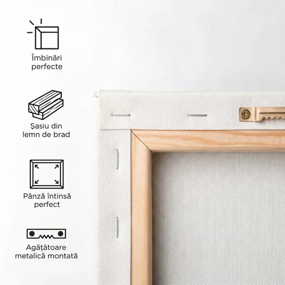 Tablou Canvas Colaj cu 12 poze – detalii și specificații