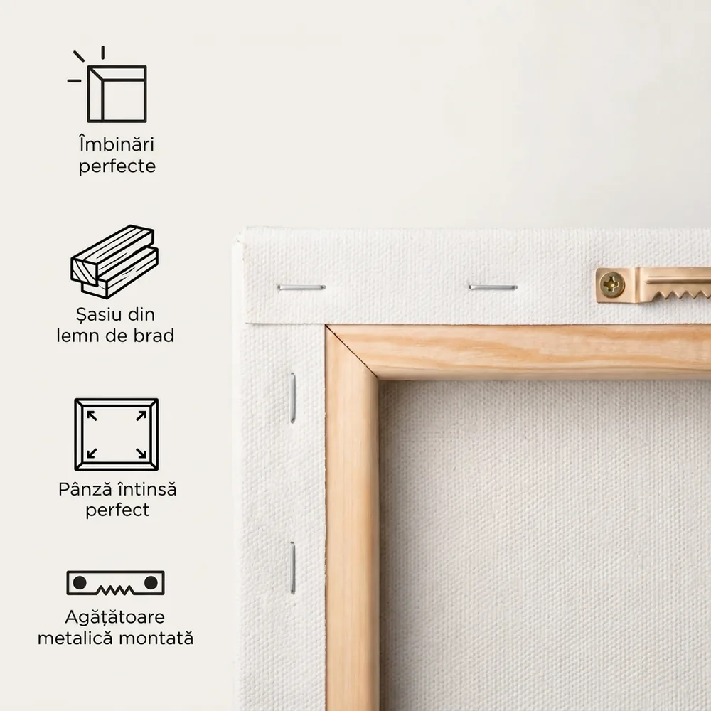 Tablou Canvas Colaj cu 16 poze – detalii și specificații