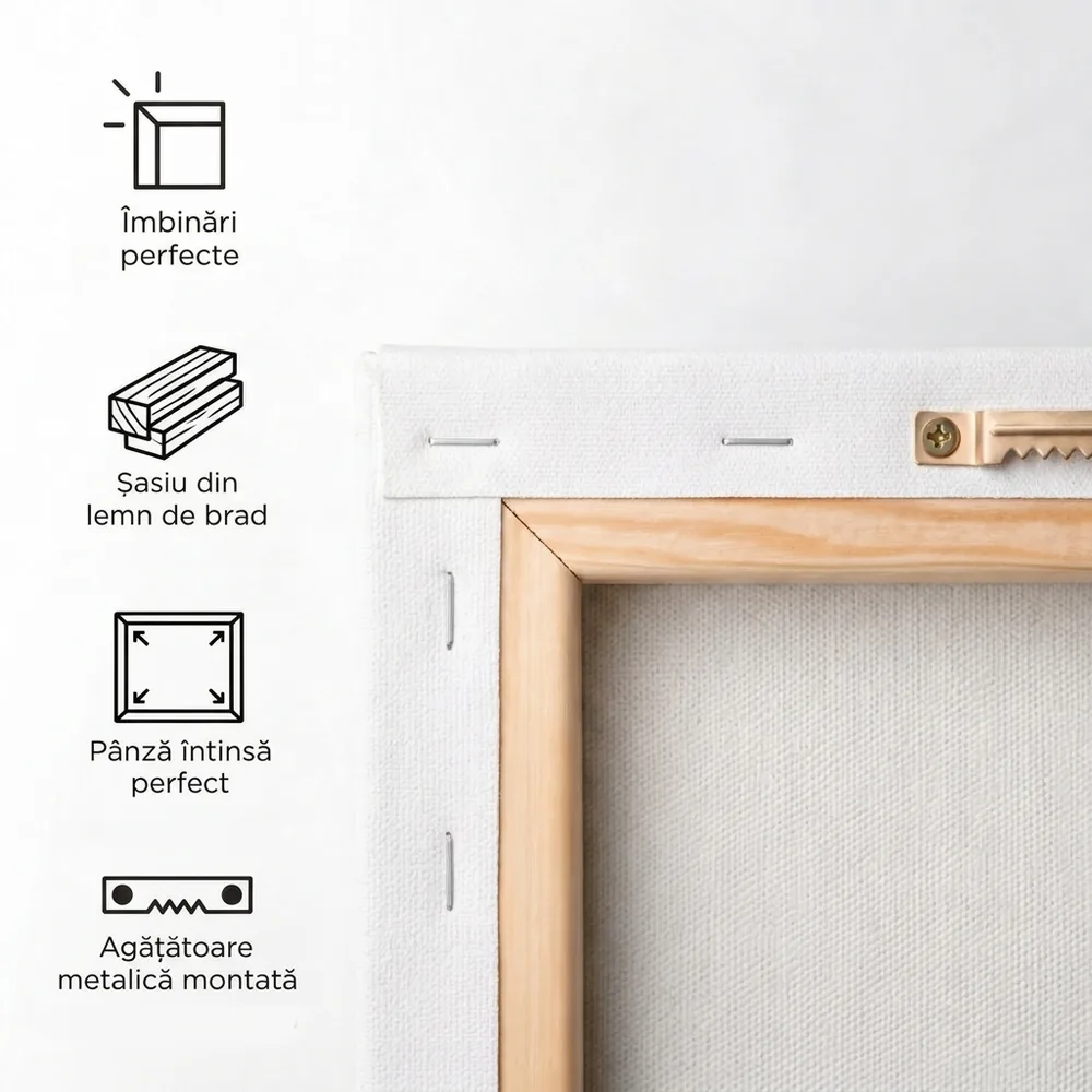 Tablou Canvas Colaj cu 8 poze – detalii și specificații